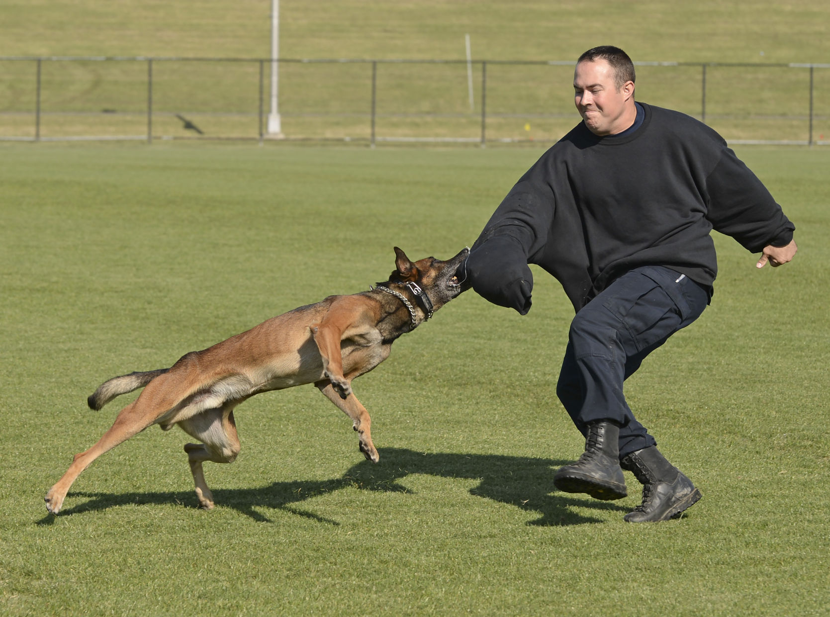 BR.k9competition.adv HS 012.JPG (copy)